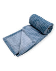 M/C PRINTED FLANNEL BLANKET BOY'S DINO