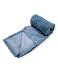 M/C PRINTED FLANNEL BLANKET BOY'S DINO
