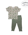 M/C 8 PCS GIFT SET DINO